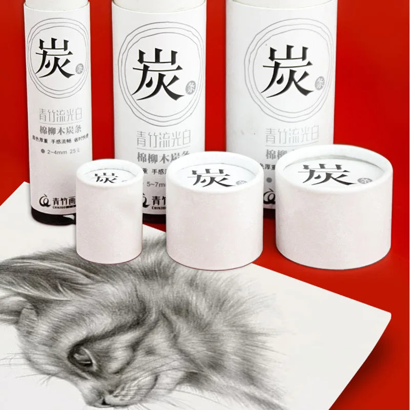 Conjunto de 25 Bastões de Carvão de Videira e Salgueiro – Ideal para Artistas